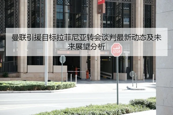 曼联引援目标拉菲尼亚转会谈判最新动态及未来展望分析 - LEYU SPORTS